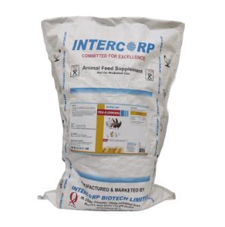 INTERMIX - FOLI-B STRONG