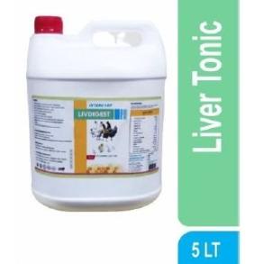 INTERMIX - LIVDIGEST