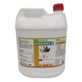 INTERMIX - MYTIBIND EXPO