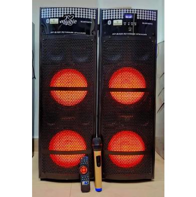 DJ DOUBLE SPEAKER 10" PAIR