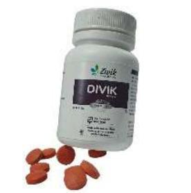 DIVIK