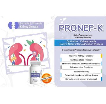 PRONEF-K