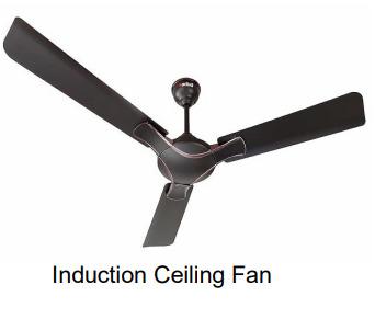 Induction Ceiling Fan