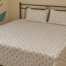 Majestic Cream 200 TC, 100% Printed cotton Bedsheet Double Bed