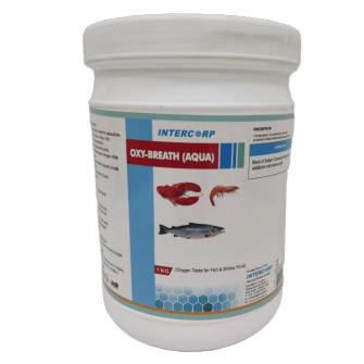 INTERMIX - OXYBREATH (AQUA) - TABLET