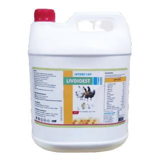 INTERMIX - LIVDIGEST - LIQUID
