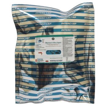 INTERMIX - BLUETONE - C PLUS (AQUA) - POWDER