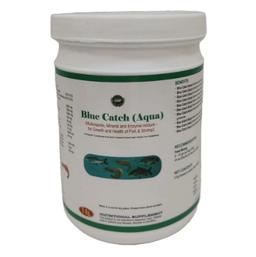 INTERMIX - BLUE CATCH (AQUA) - POWDER