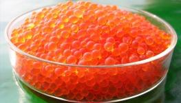 Silica Gel Orange