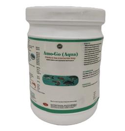 INTERMIX - AMO-GO (AQUA) - POWDER