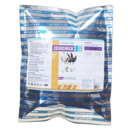 INTERMIX - COXICHECK WS - POWDER