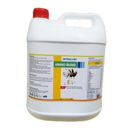 INTERMIX - AMINOBLEND - LIQUID