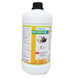 INTERMIX - AMINOBLEND (DS) - LIQUID