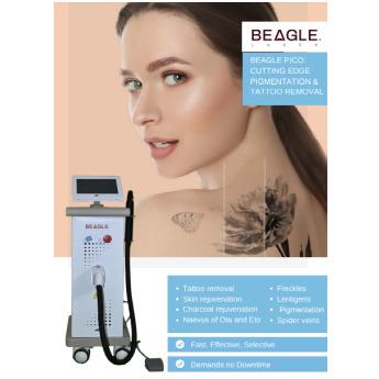 BEAGLE PICO: CUTTING EDGE PIGMENTATION & TATTOO REMOVAL	
