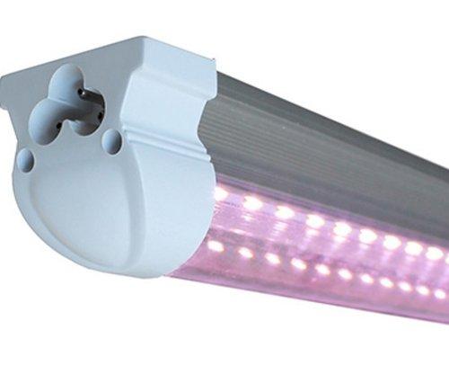 Write Down Grow Lights