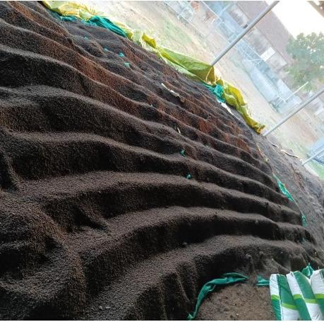 Bio Organic Fertilizer