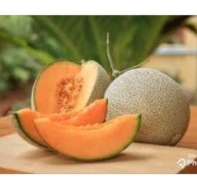 Musk Melon
