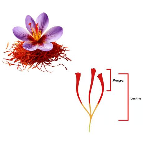 Kashmir Saffron