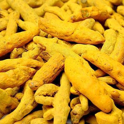 Turmeric Finger