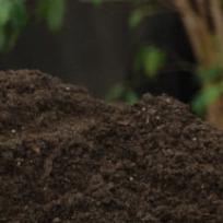 Organic manure