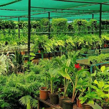 Nursery