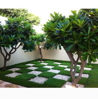 Landscaping and Beautification
