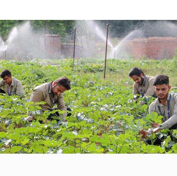 Trainings and skill development on agricultural development