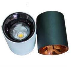 Surface Cylinder Lights