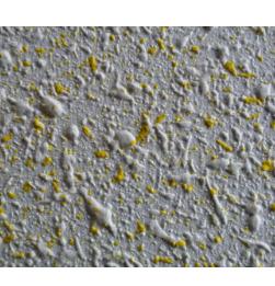 Spray Coat Texture Wall Finish