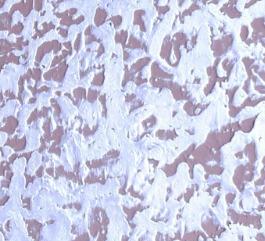 Superfine Wall Textures