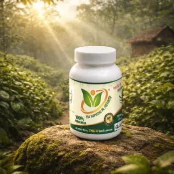 Ayurvedic Piles Medicine