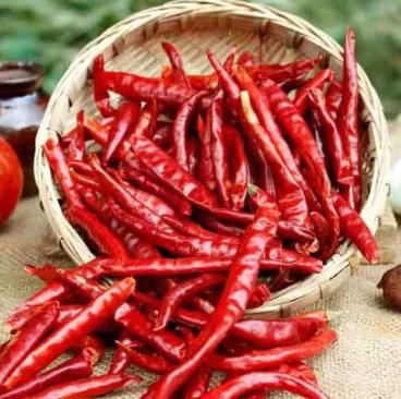 Red chili