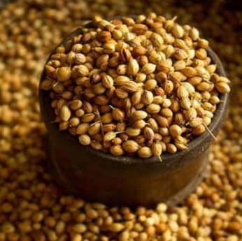 Coriander Whole