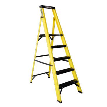 Platform ladder 
