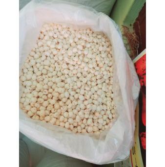 Makhana