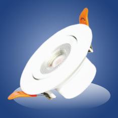 Lens Tiltable Concealed Light