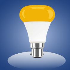 Chakmak Bulb