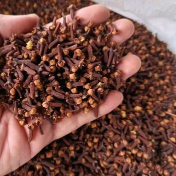 Cloves