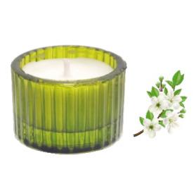 Morning Jasmine Allure Designed Candles