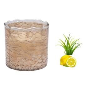 VAARIDHI Series Customize Designed Candles