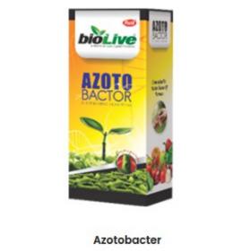 Azotobacter