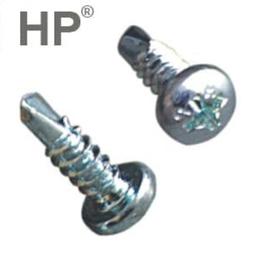 Pan Head Screw