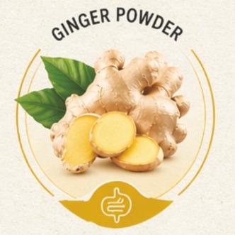 Ginger Powder