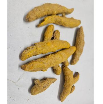 Whole - Turmeric Fingers