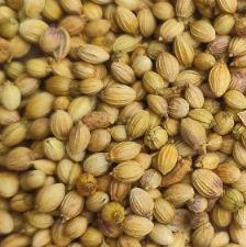 Coriander Seeds