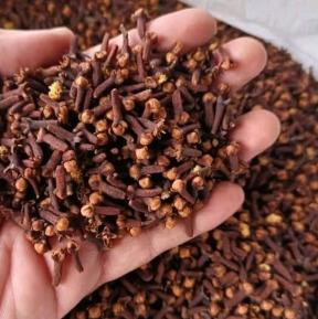 Cloves