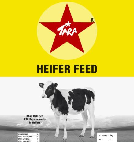 Heeifer Feed