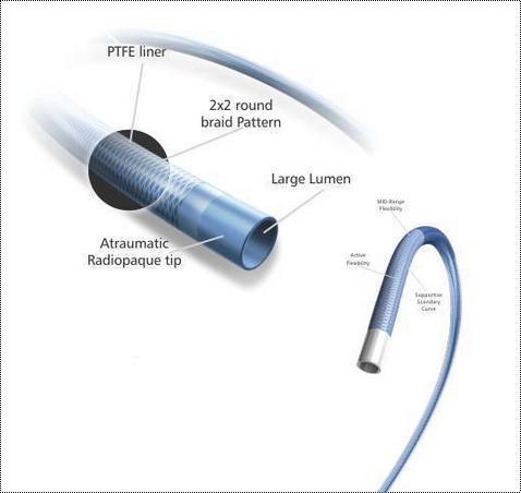 PROCTRA Guiding Catheter