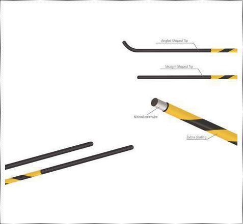 RADIX Guidewire Zebra2233