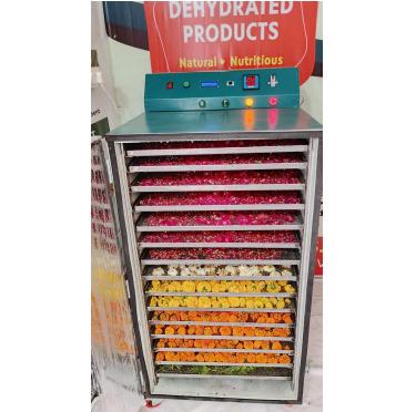 Hybrid Food Dehydrator System